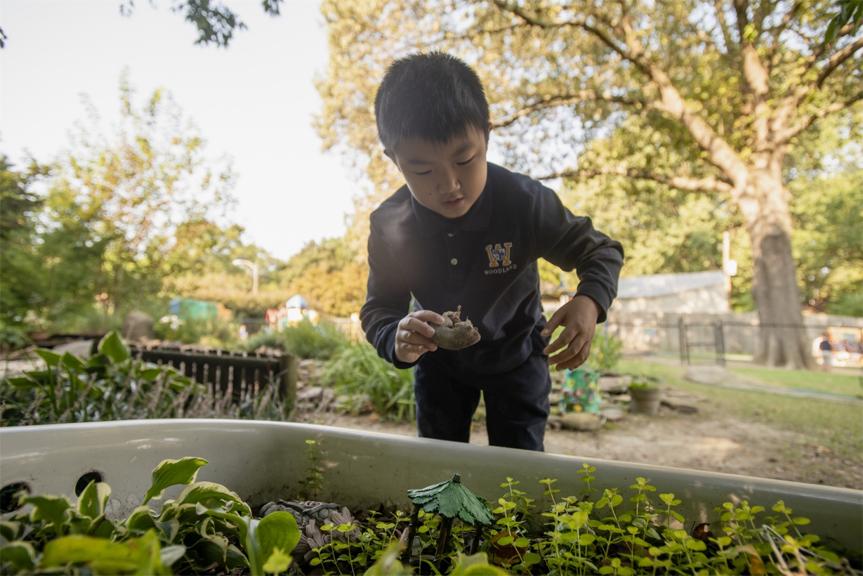 Outdoor Learning Center.jpg