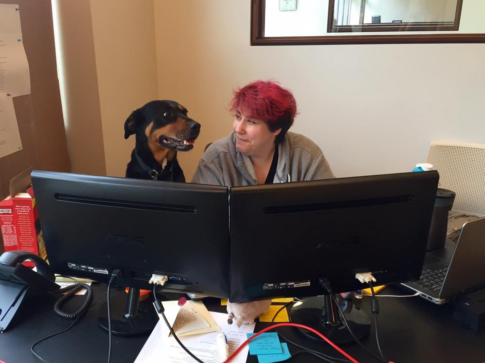 Our office is dog-friendly.