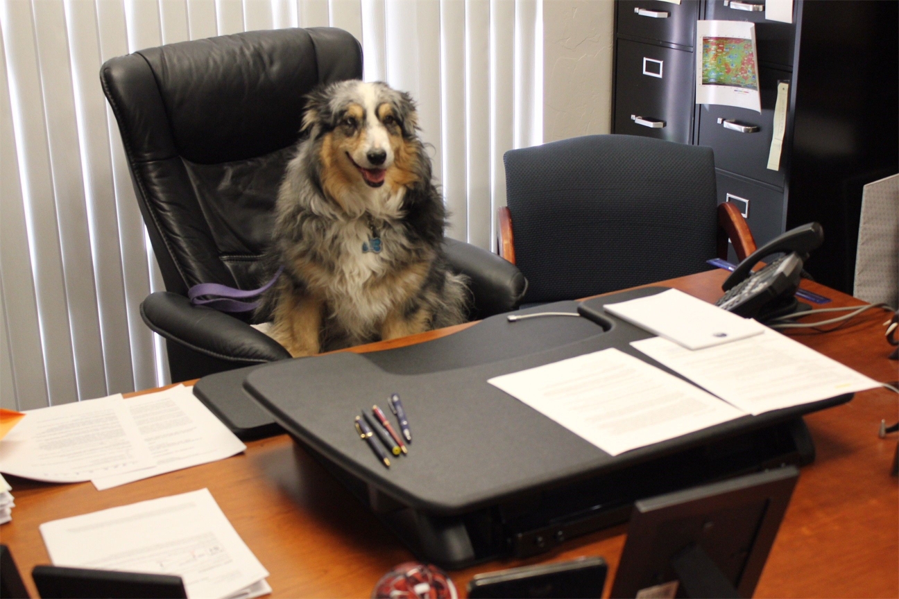 Jasper sitting in for PSI's CEO for the day.