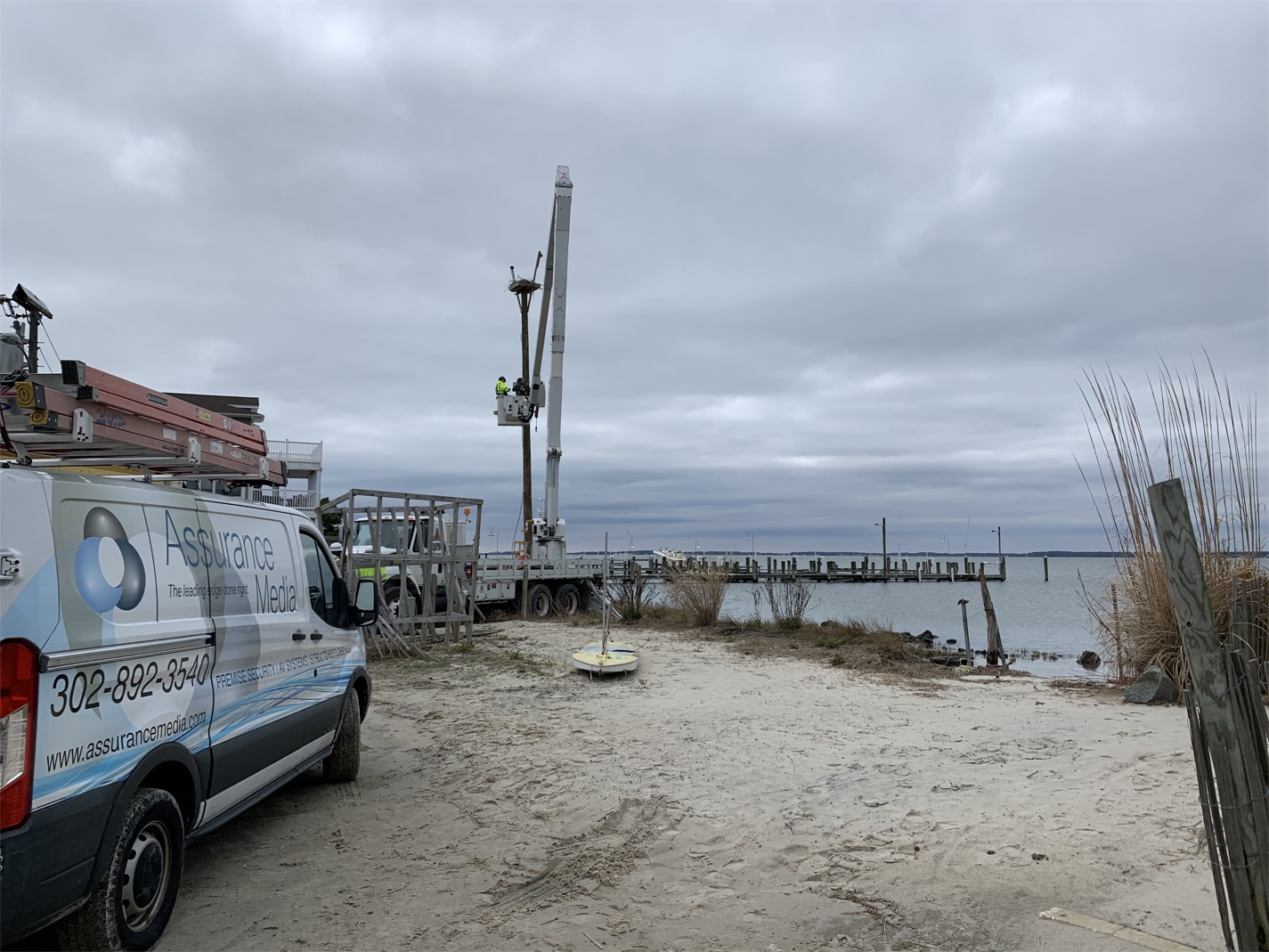 Hanging Camera in Osprey Nest