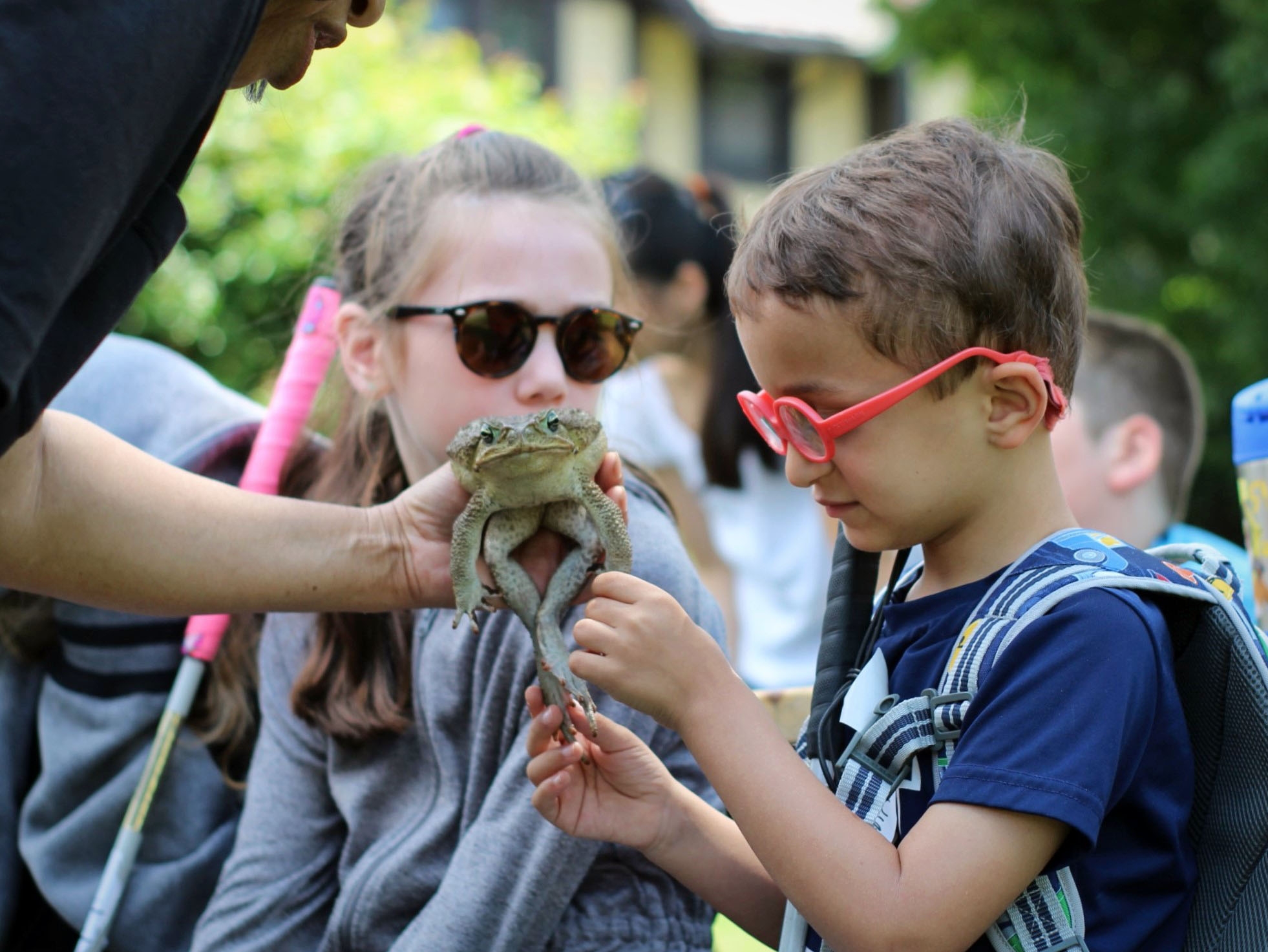 Two school-aged children explore a live frog during their summer youth program at the Carroll Center for the Blind.