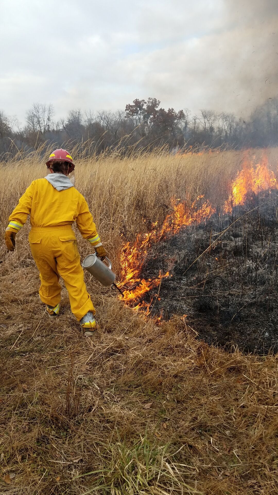 RxBurns_LB_NA_2019 - Screen - Vertical.jpg