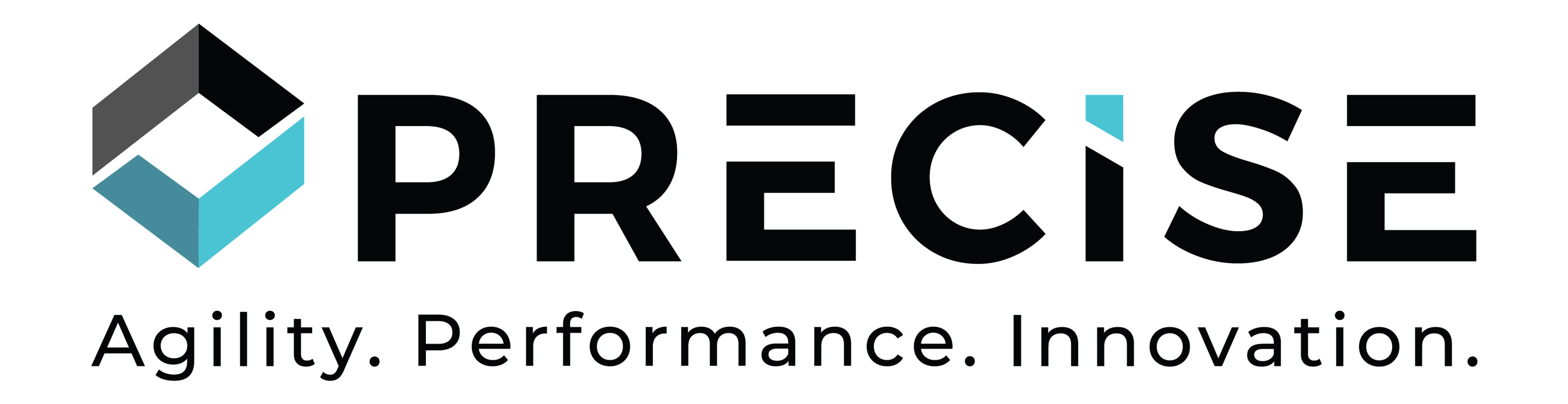 Precise Logo_with tagline-color (2).jpg