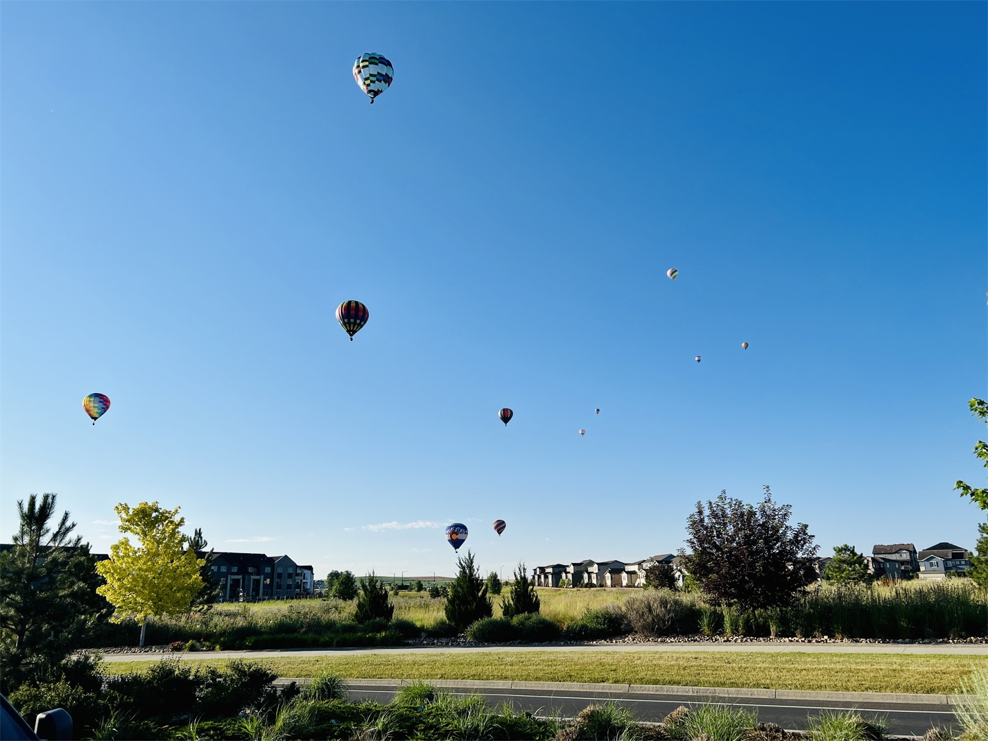 balloons over erie.JPG