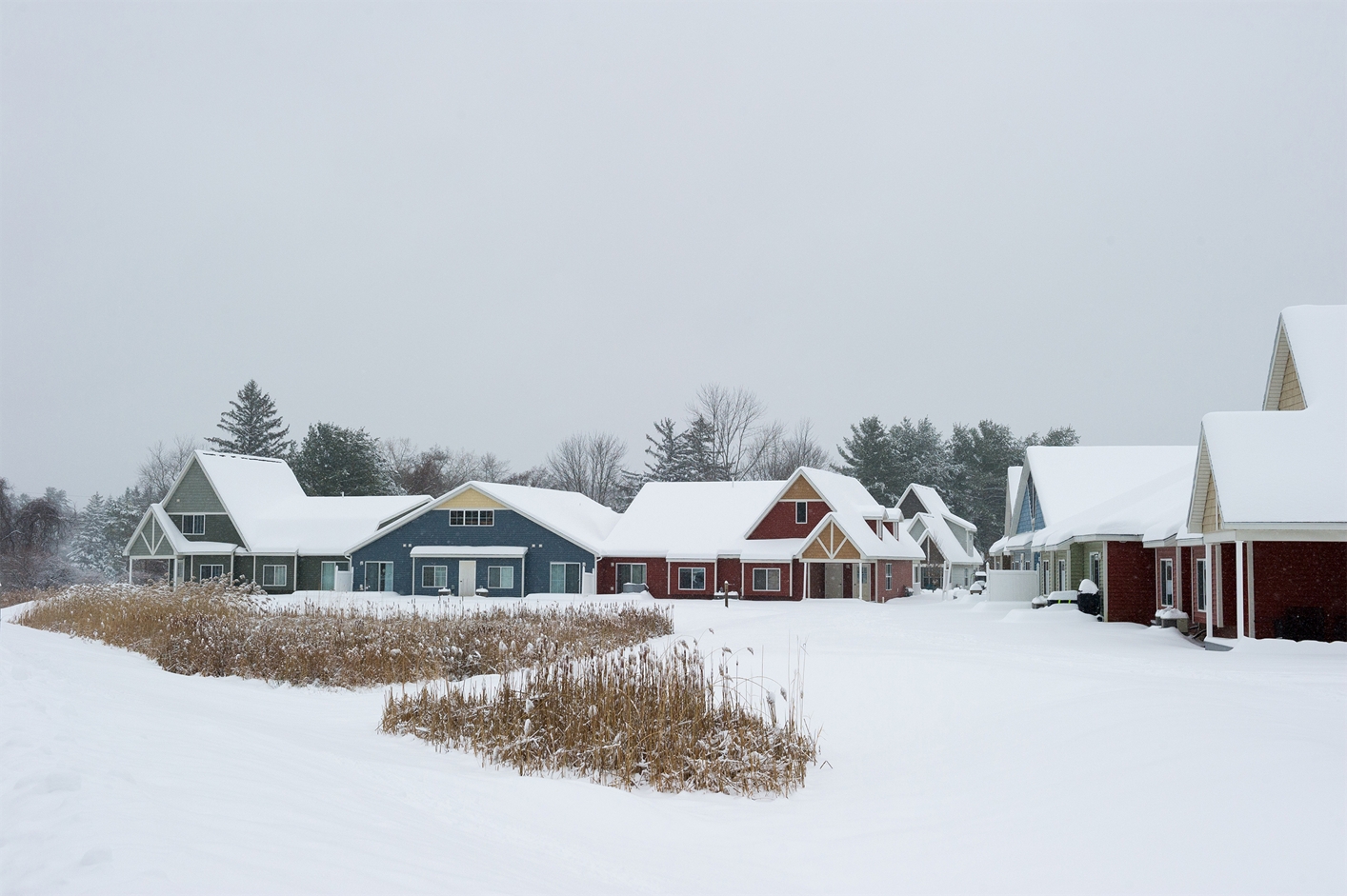 The Spinney Group Profile