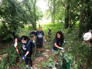 Ryan team members have fun getting their hands dirty volunteering with Food Well Alliance.