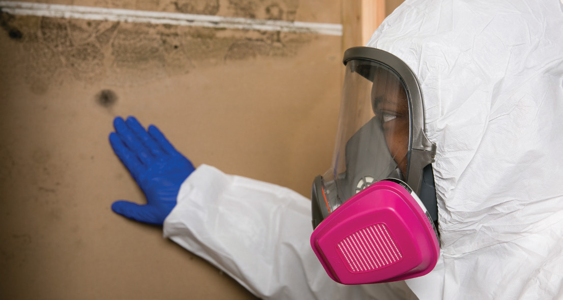 mold-technician-geared-up.png