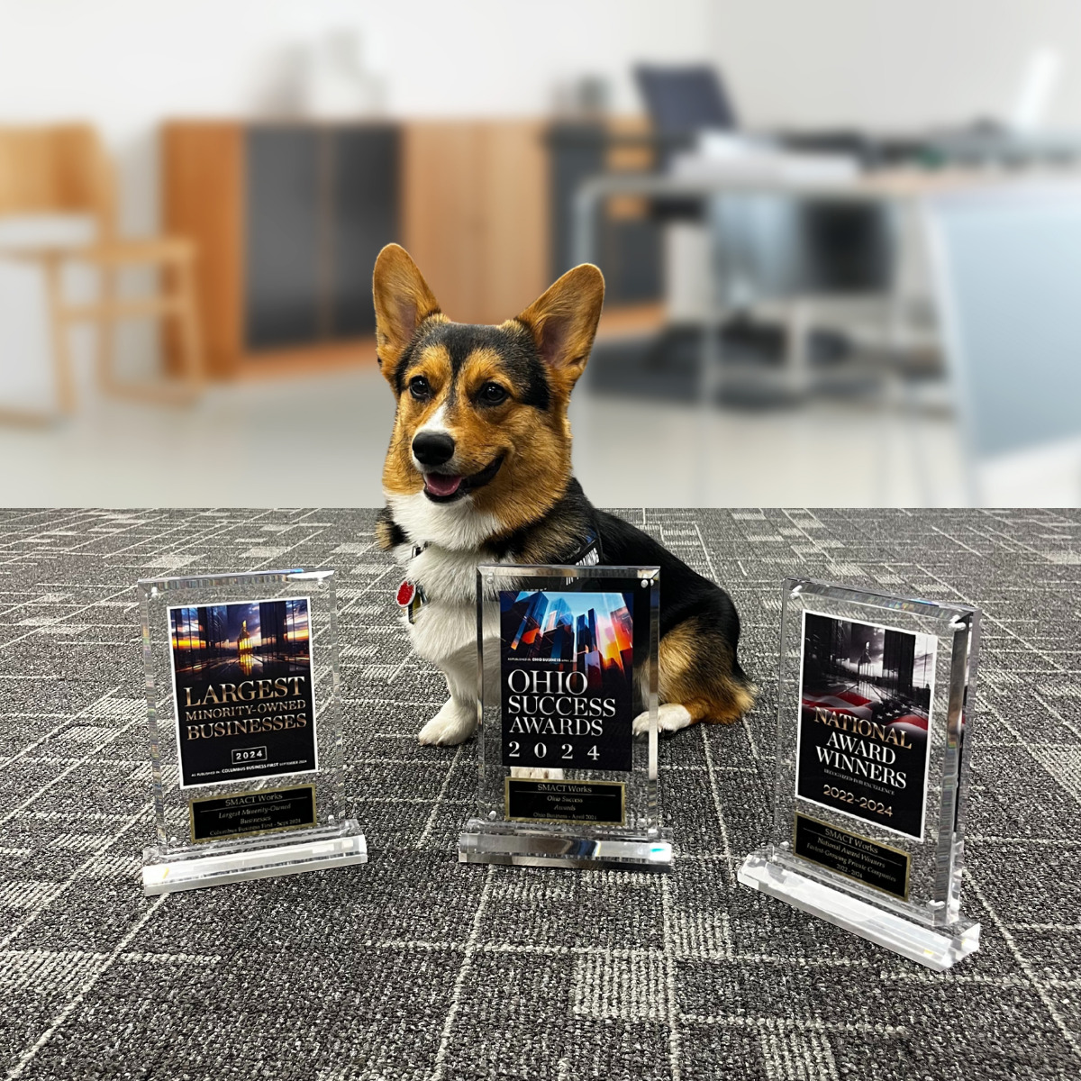 Harry with Awards.png