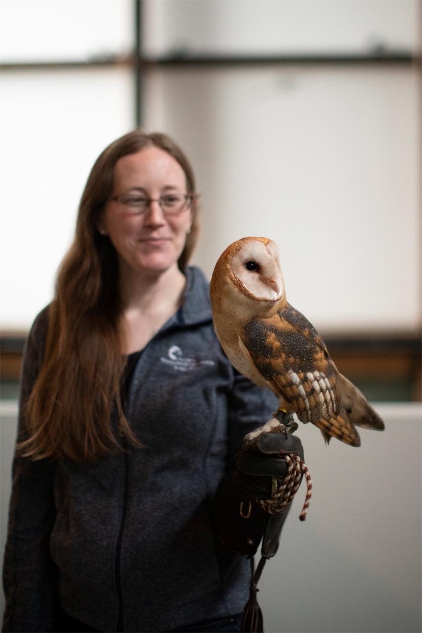 2022-barn owl- jennifer 1.JPG