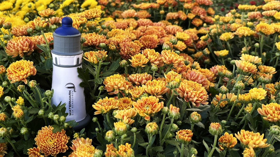 IMG_2868 (Fall Flowers)(MZgol).JPEG