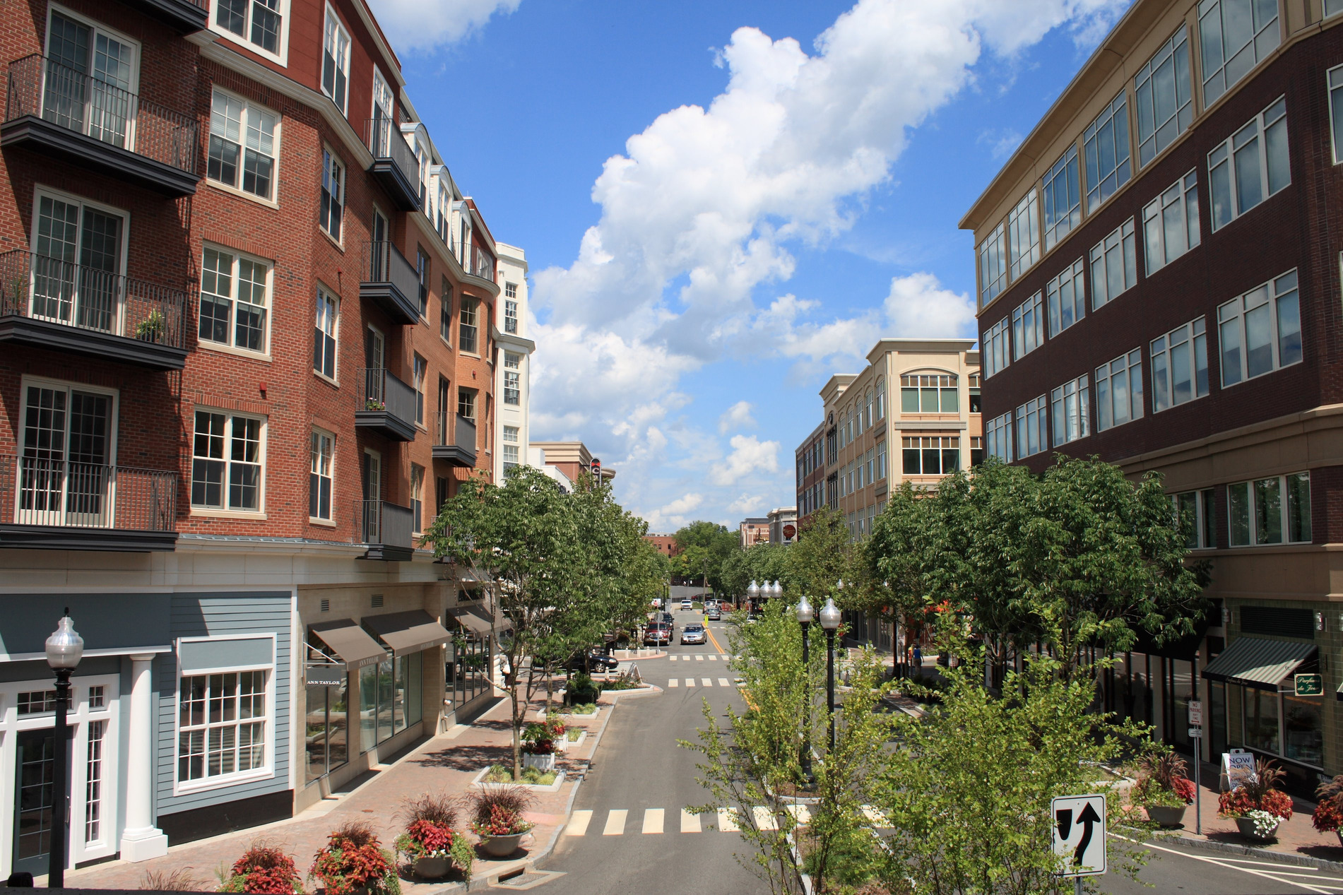 Blue_Back_Square_in_West_Hartford,_Connecticut_2,_August_10,_2008.jpg