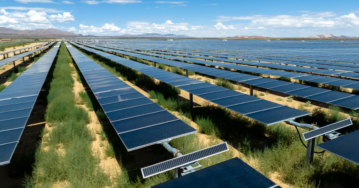 LRE Rabbitbrush Solar