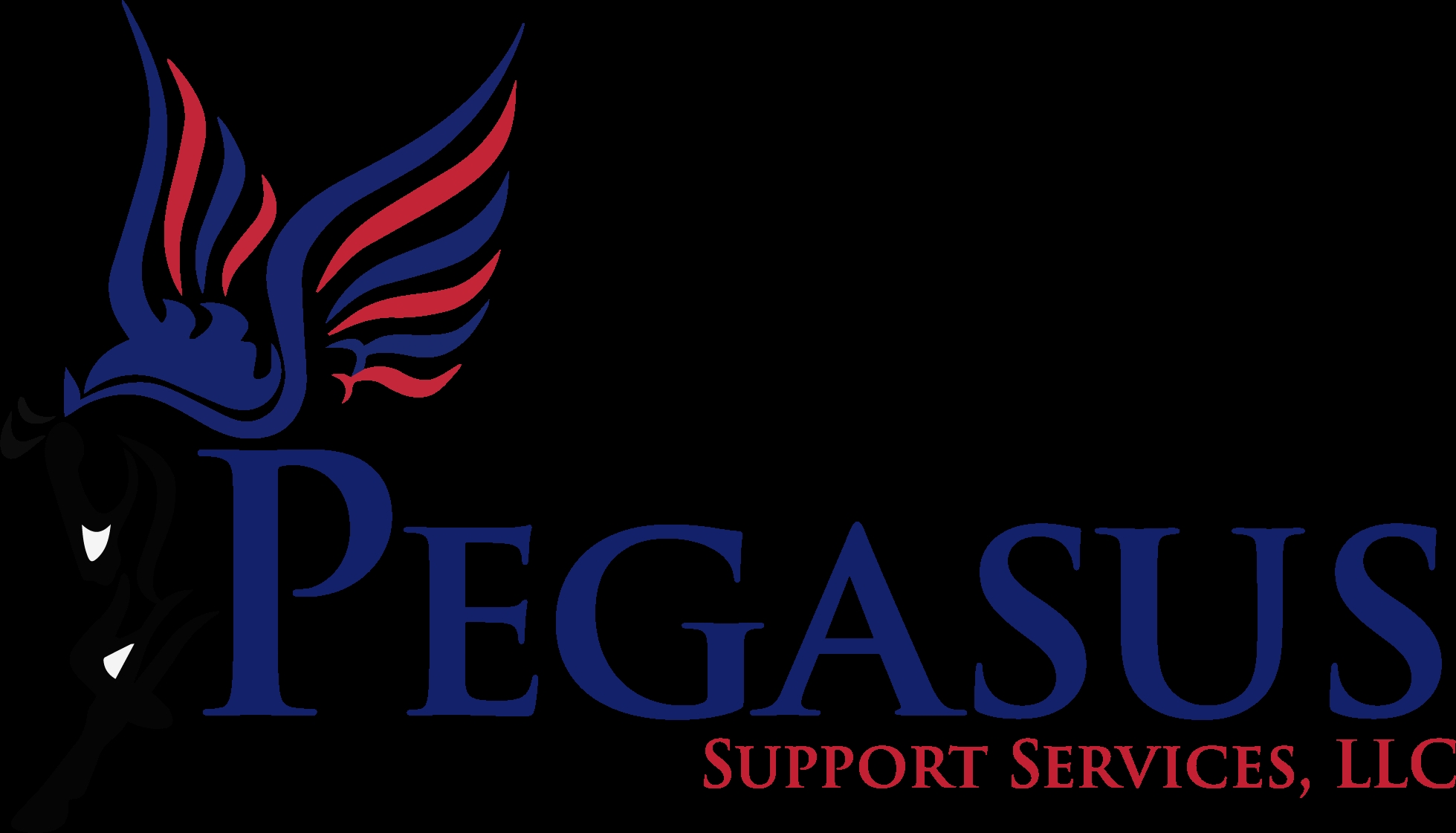 PSS Logo.png