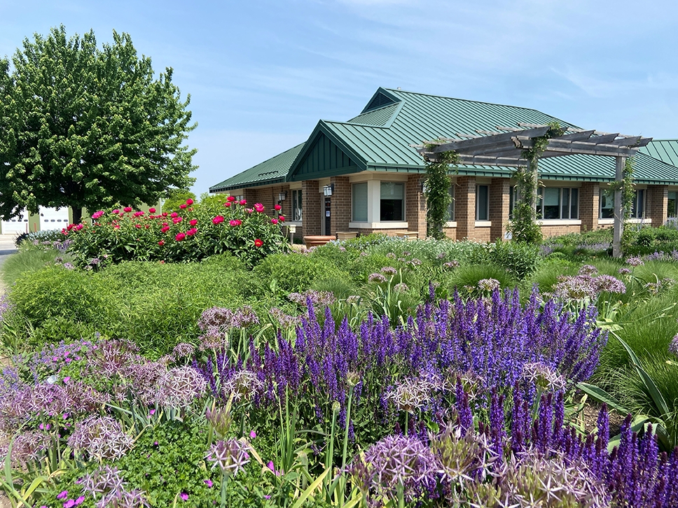 Gardens in bloom at the St. Charles office.