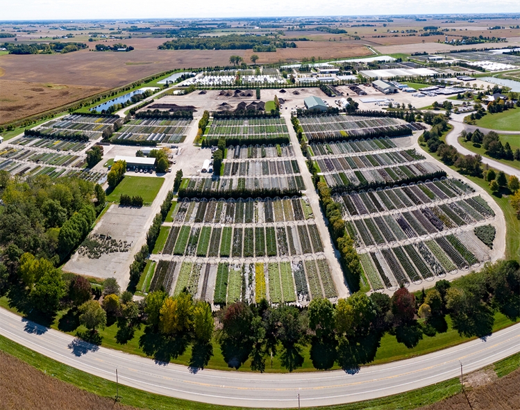 Birds-eye view of the Virgil Nursery.