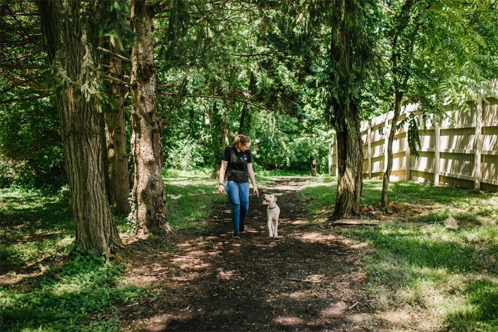 Nature Trail.JPG