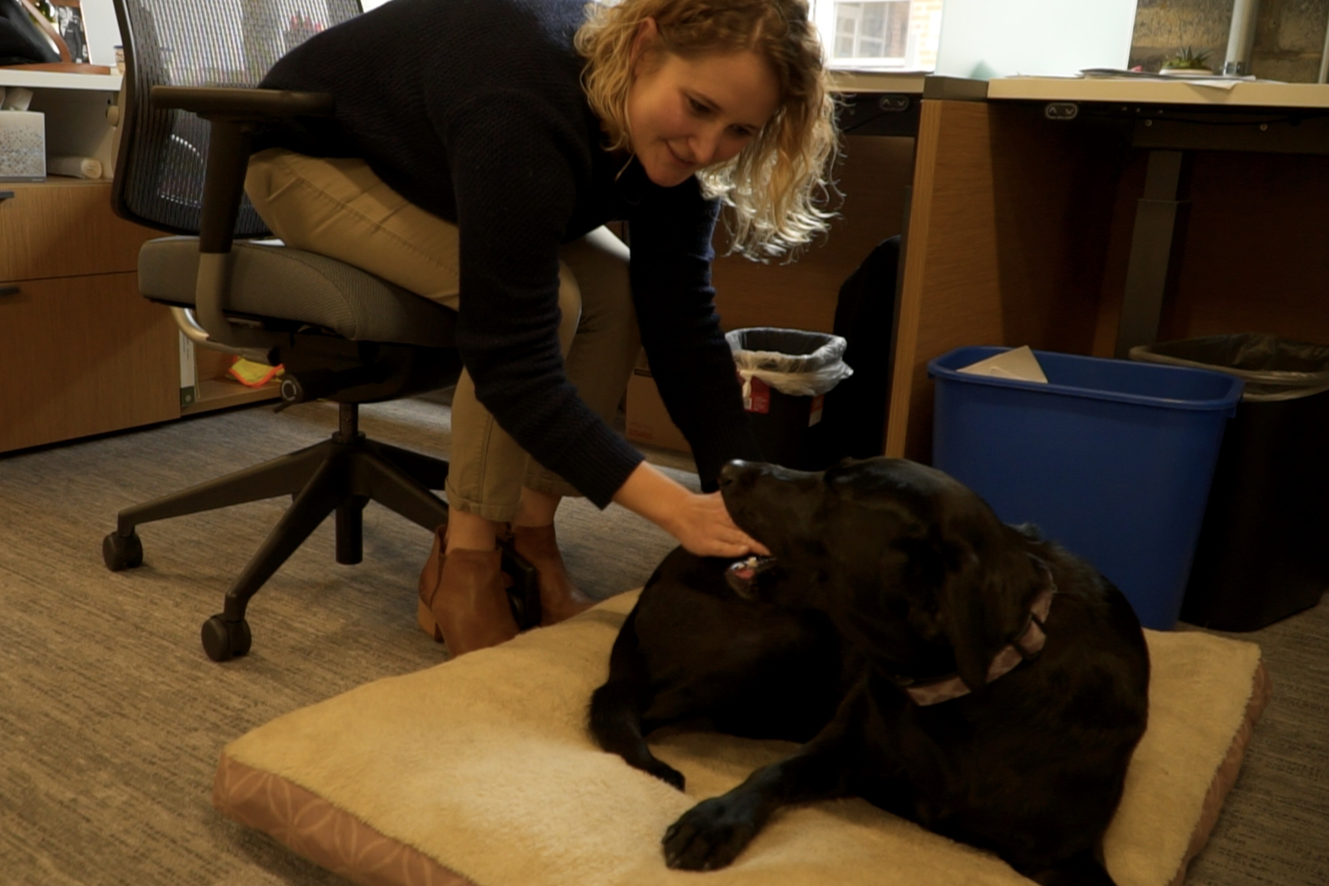 RES_Special Office Coworkers.jpg