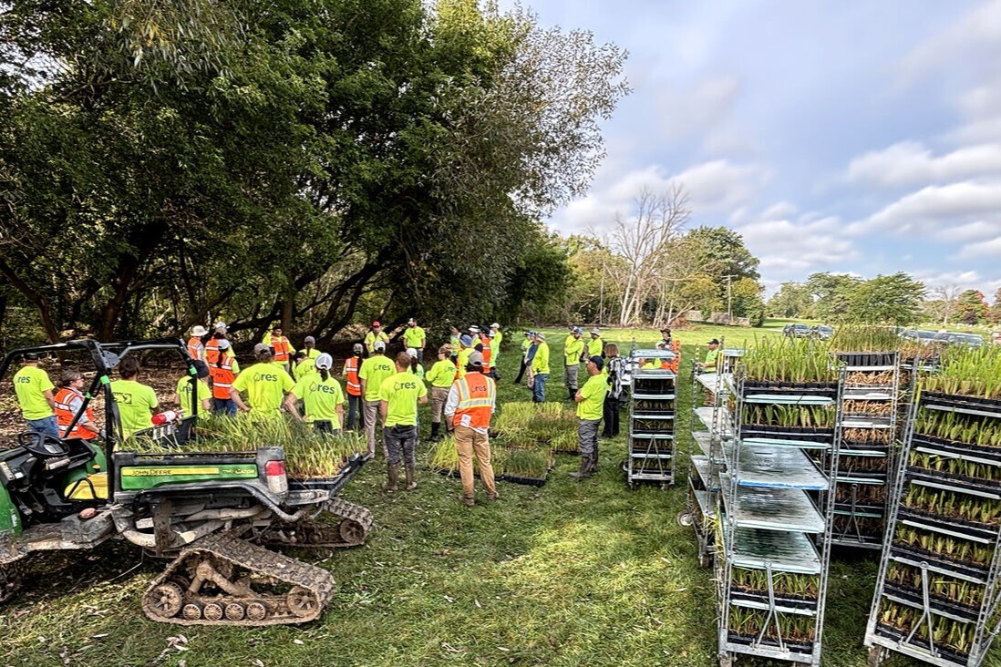 RES_Valhalla Constructed Wetland.jpeg