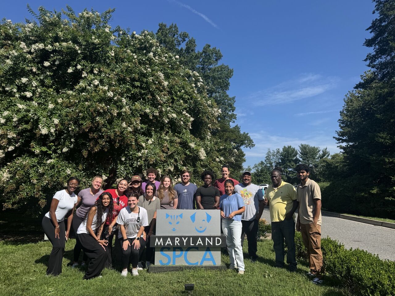 intern volunteering.jpg