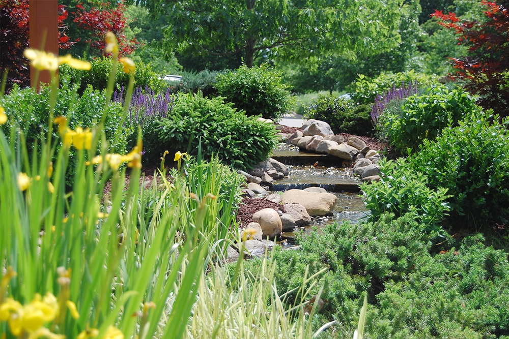 Esthers-pond.jpg
