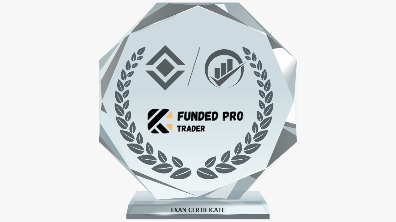 WhatsApp Image 2025-05-05 at 05.58.41.jpeg