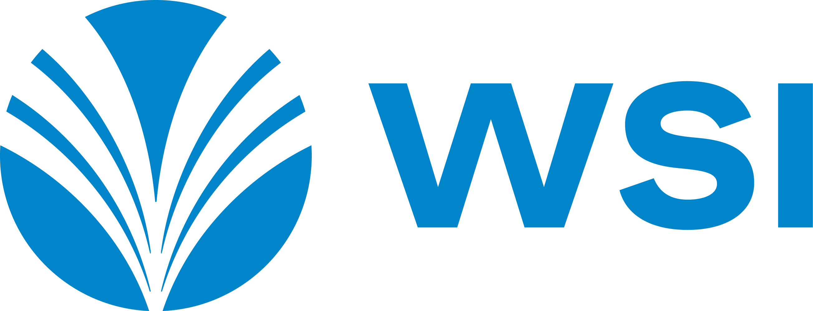WSI-Logo-Blue-JPG.jpg