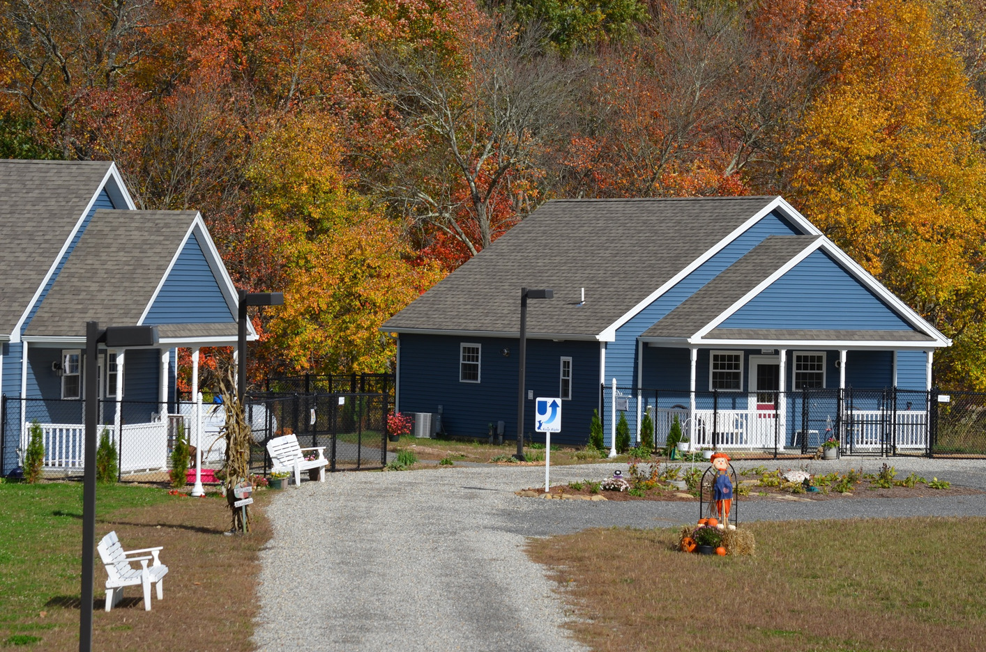 Canine Cottages