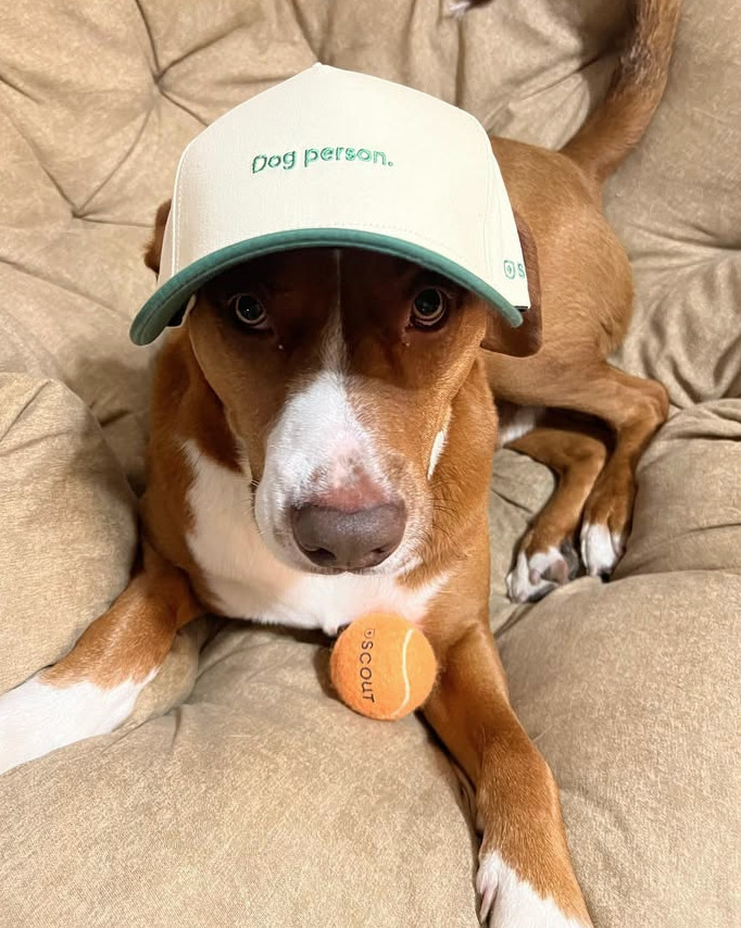 Scout Dog Branded.png