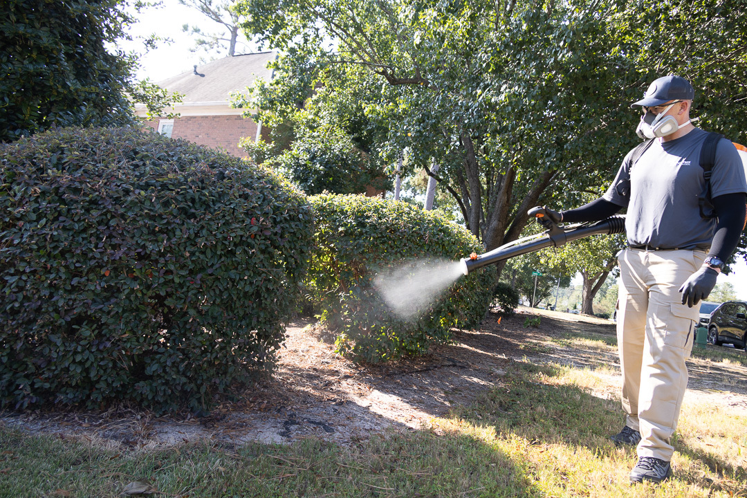 Mosquito Service
