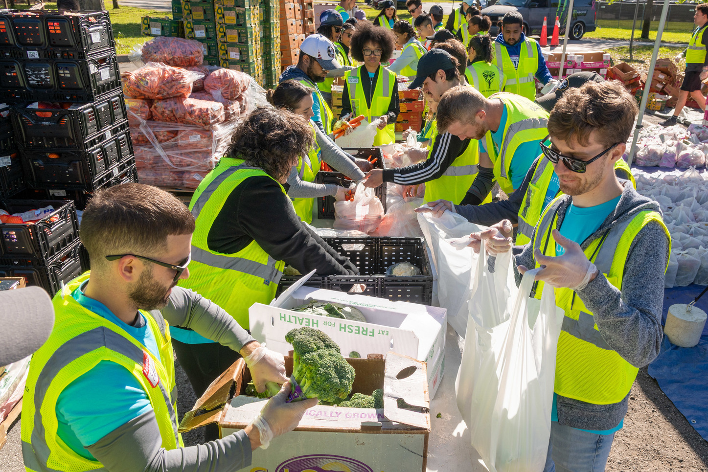 Soldiers' Angels volunteers packing groceries for Veterans in need