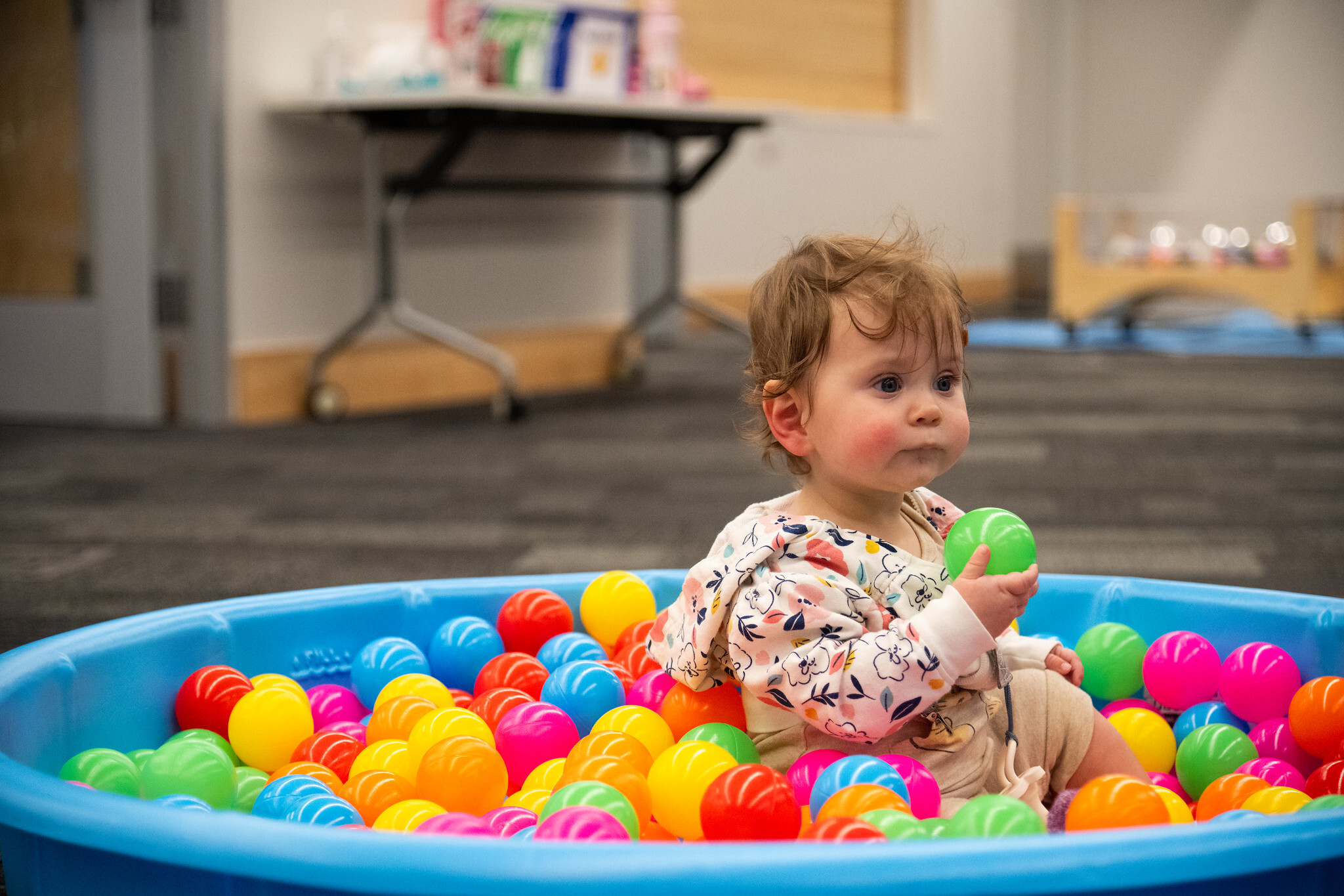 55125374256_de98d12f9b_k (1).jpg