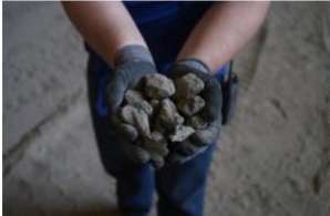 Screenshot 2025-07-08 145344.png