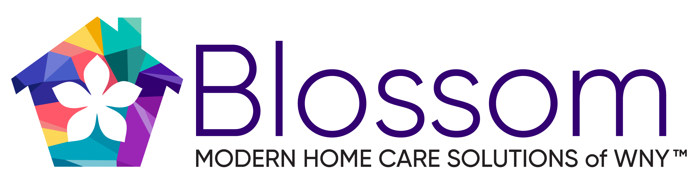 Blossom: Modern Home Care Solutions of Western New York logo