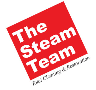 The Steam Team Company Logo