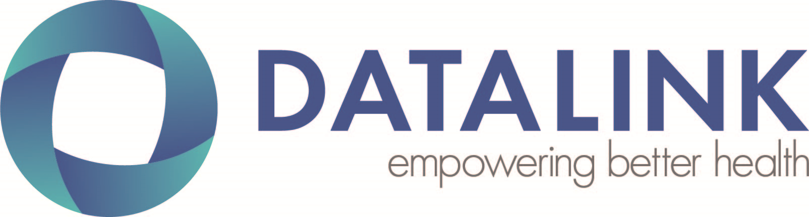 DataLink Software Company Logo