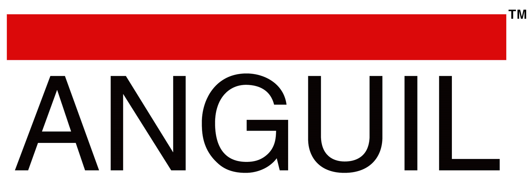 Anguil Environmental Systems, Inc logo