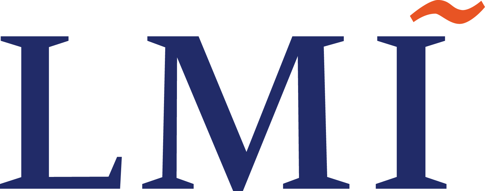 LMI Company Logo