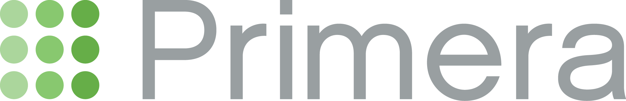 Primera Engineers, Ltd Company Logo