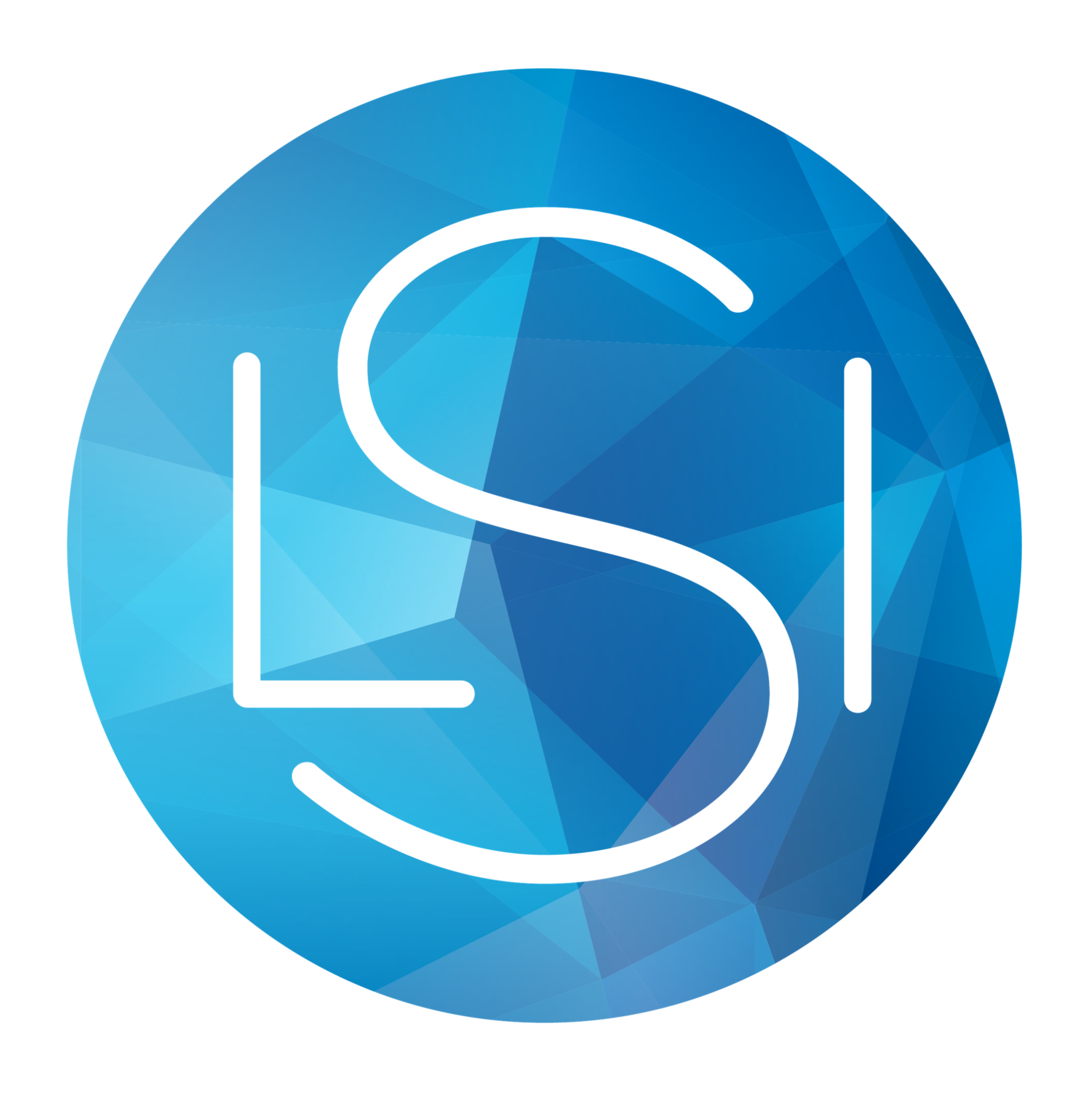 LSI Company Logo