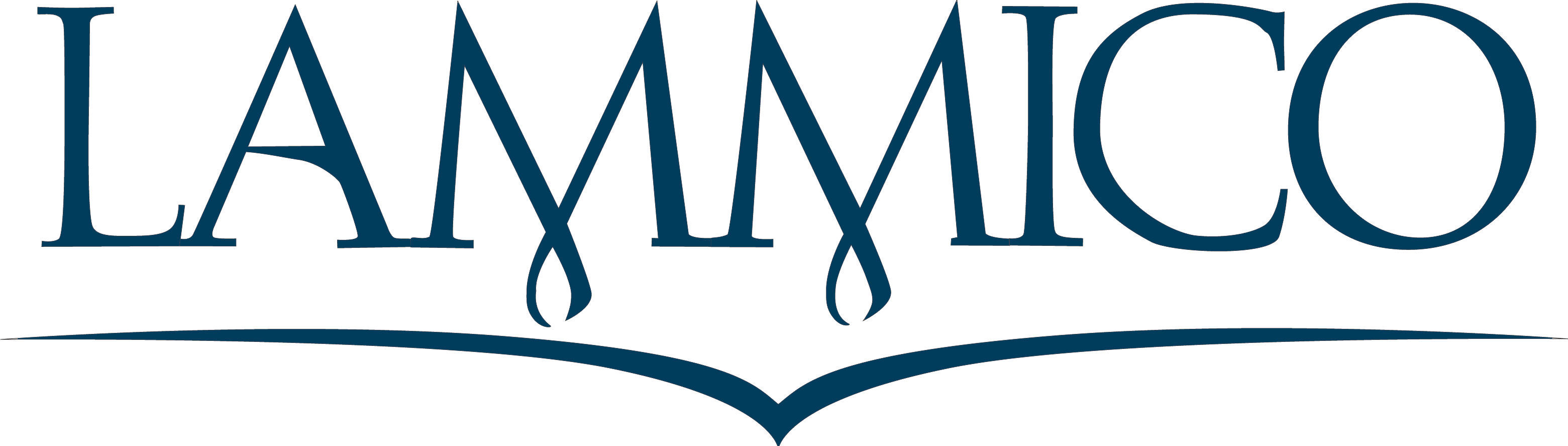 LAMMICO Company Logo