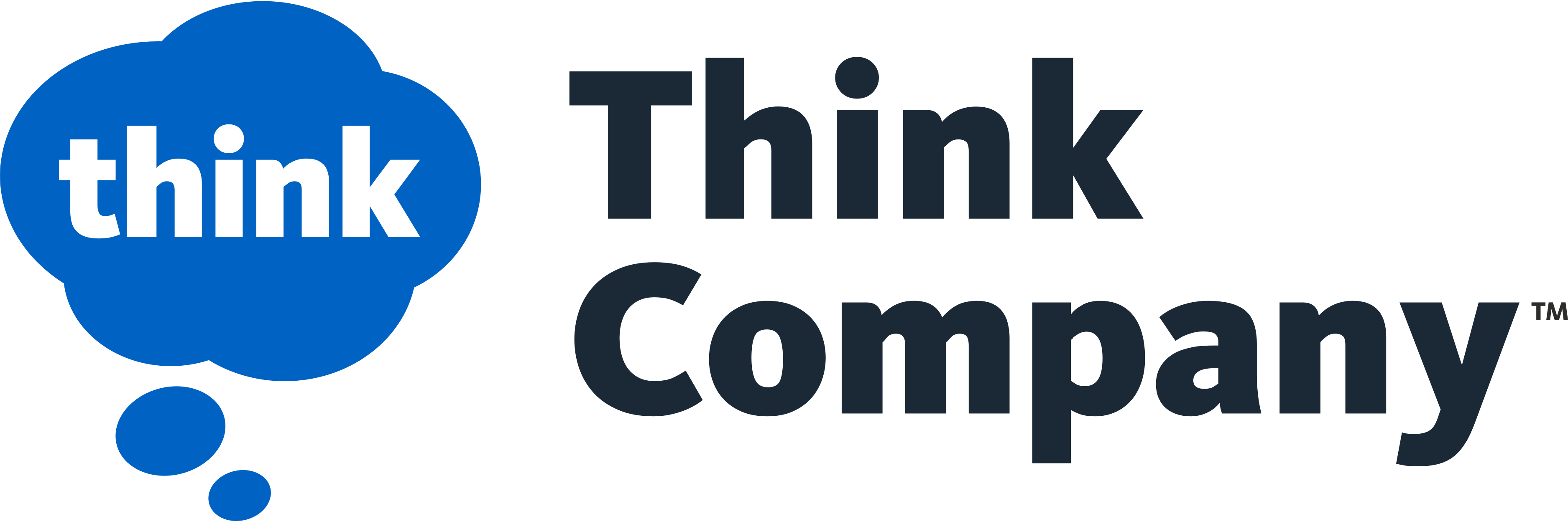 Think Company Company Logo