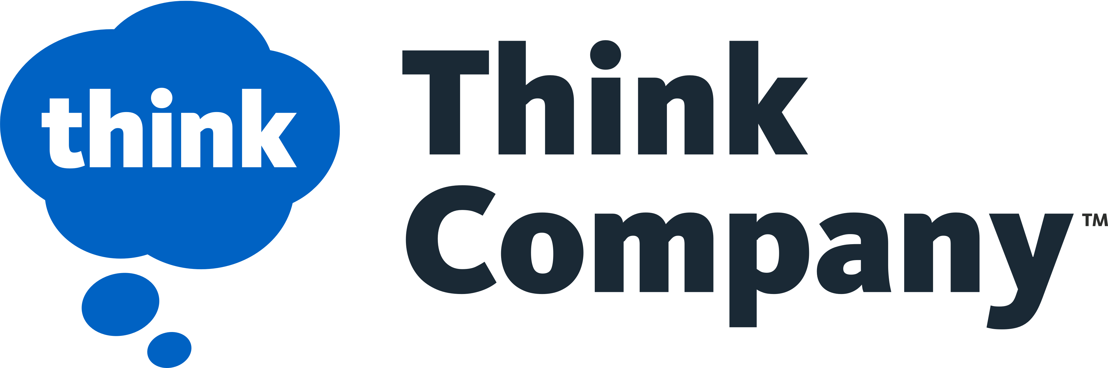 Think Company logo