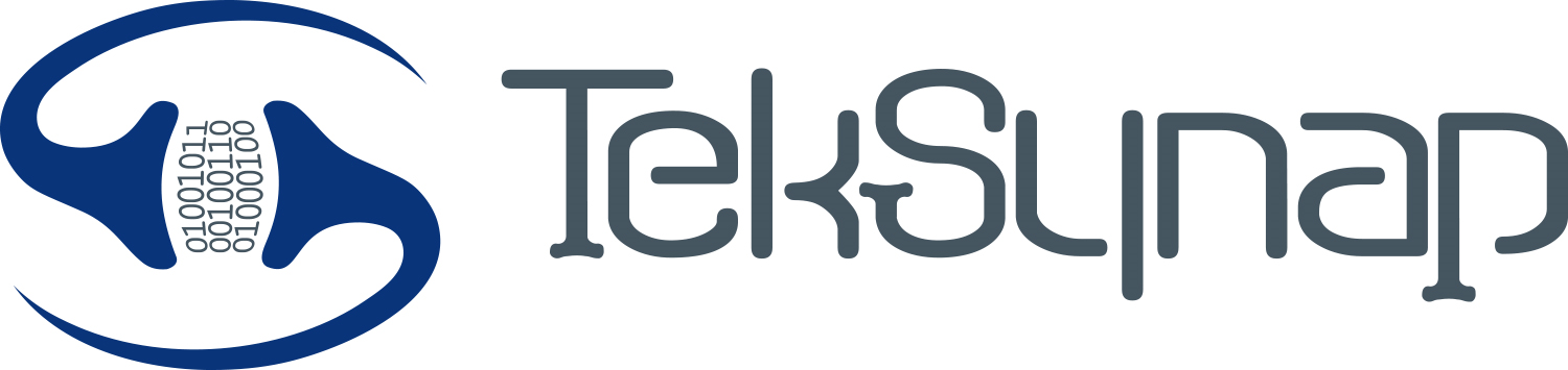 TekSynap Company Logo