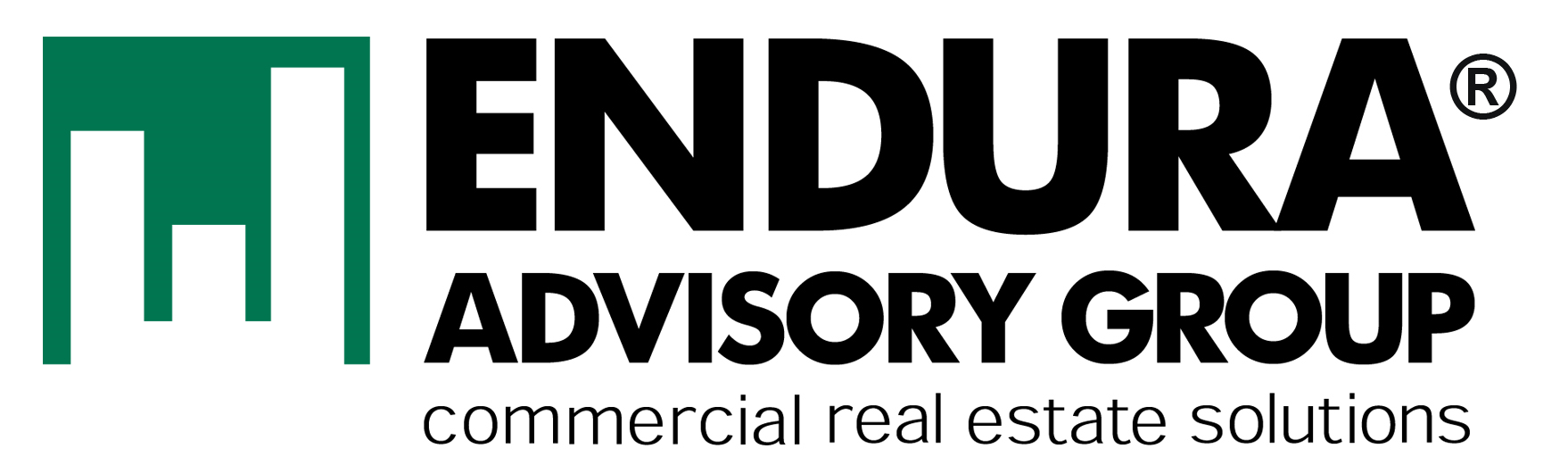 Endura Advisory Group Company Logo