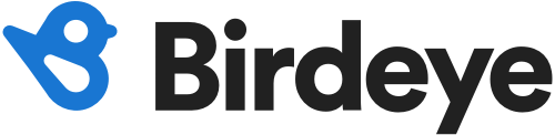 Birdeye Company Logo