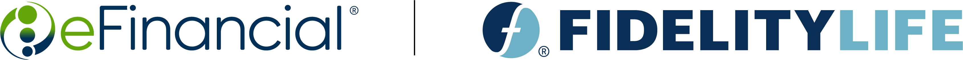 eFinancial / Fidelity Life Company Logo