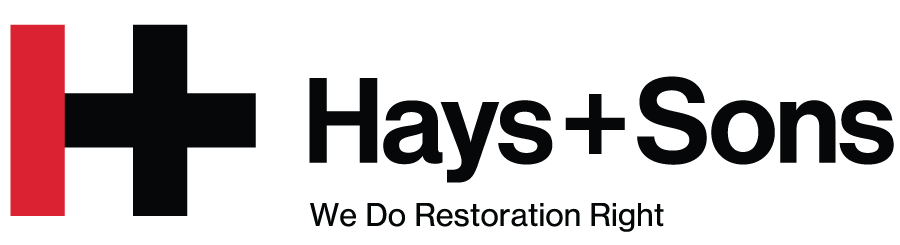 Hays + Sons Company Logo