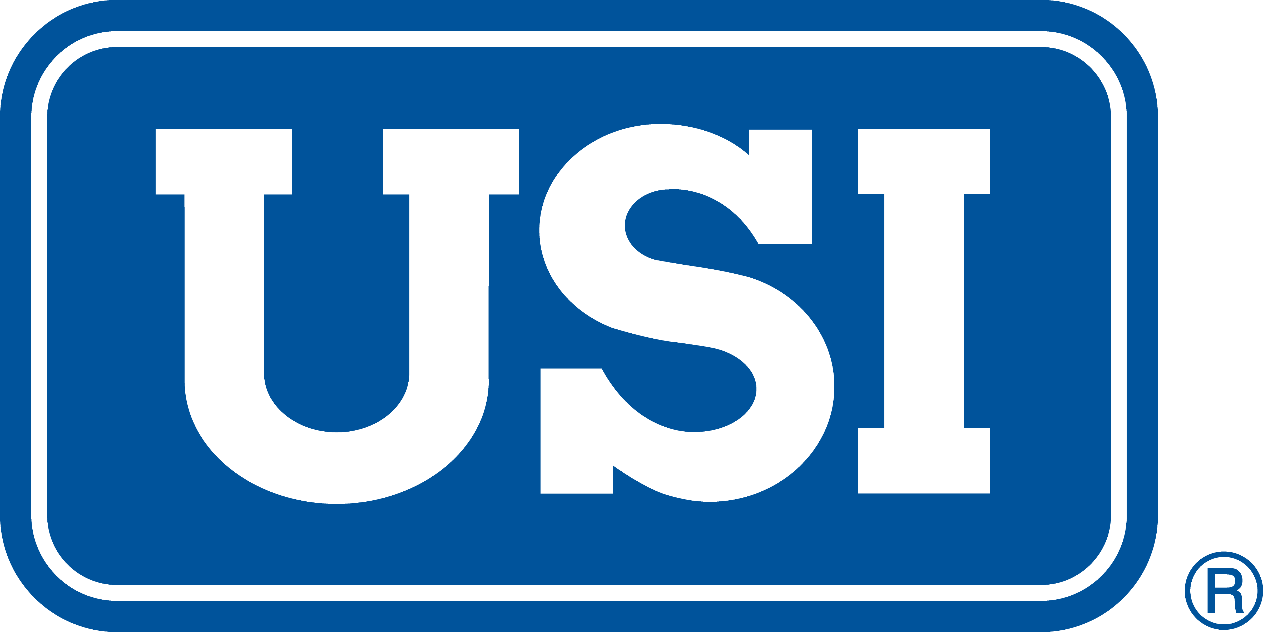 USI Insurance Services Company Logo