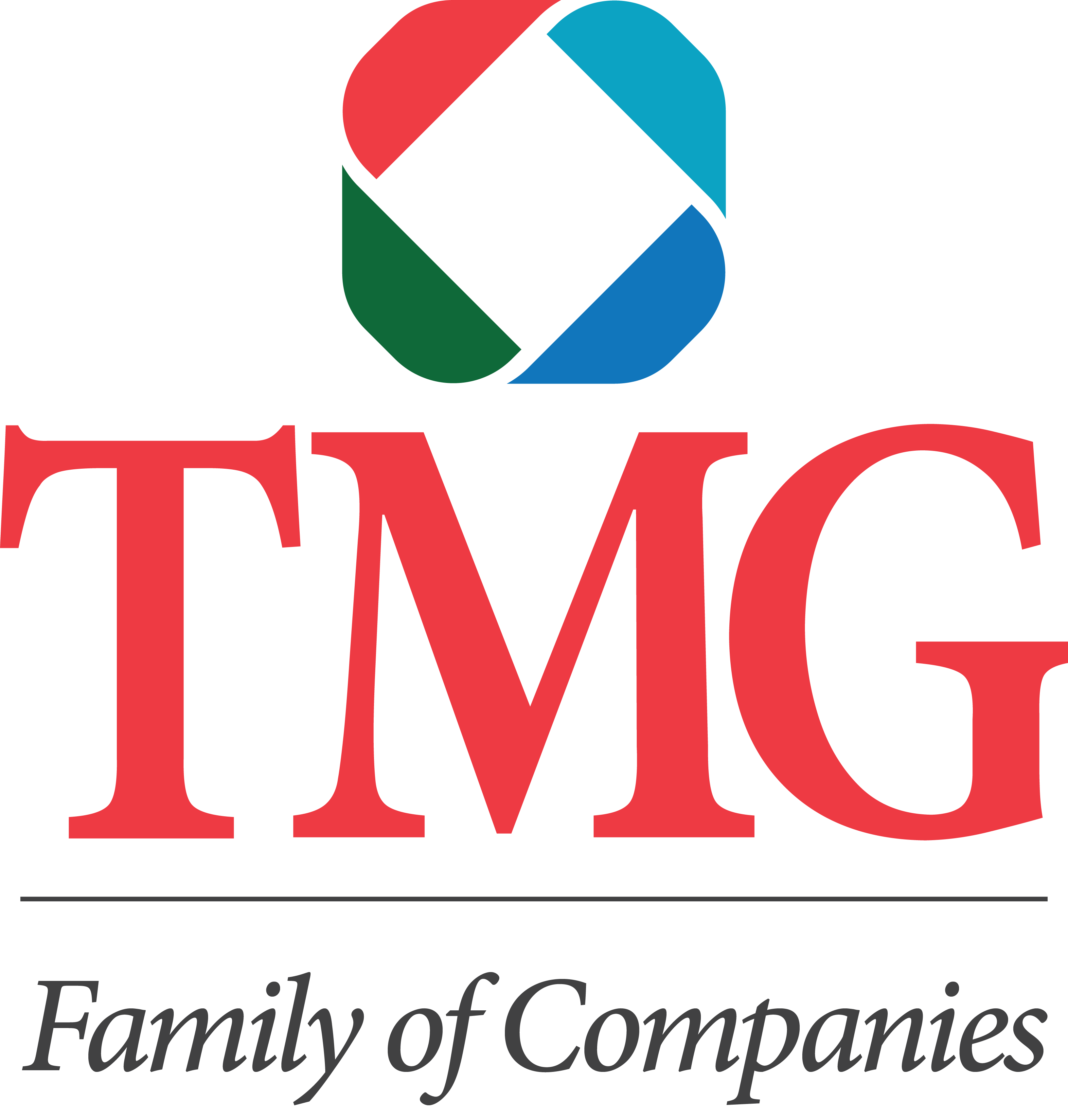 The Management Group, Inc. (TMG) logo