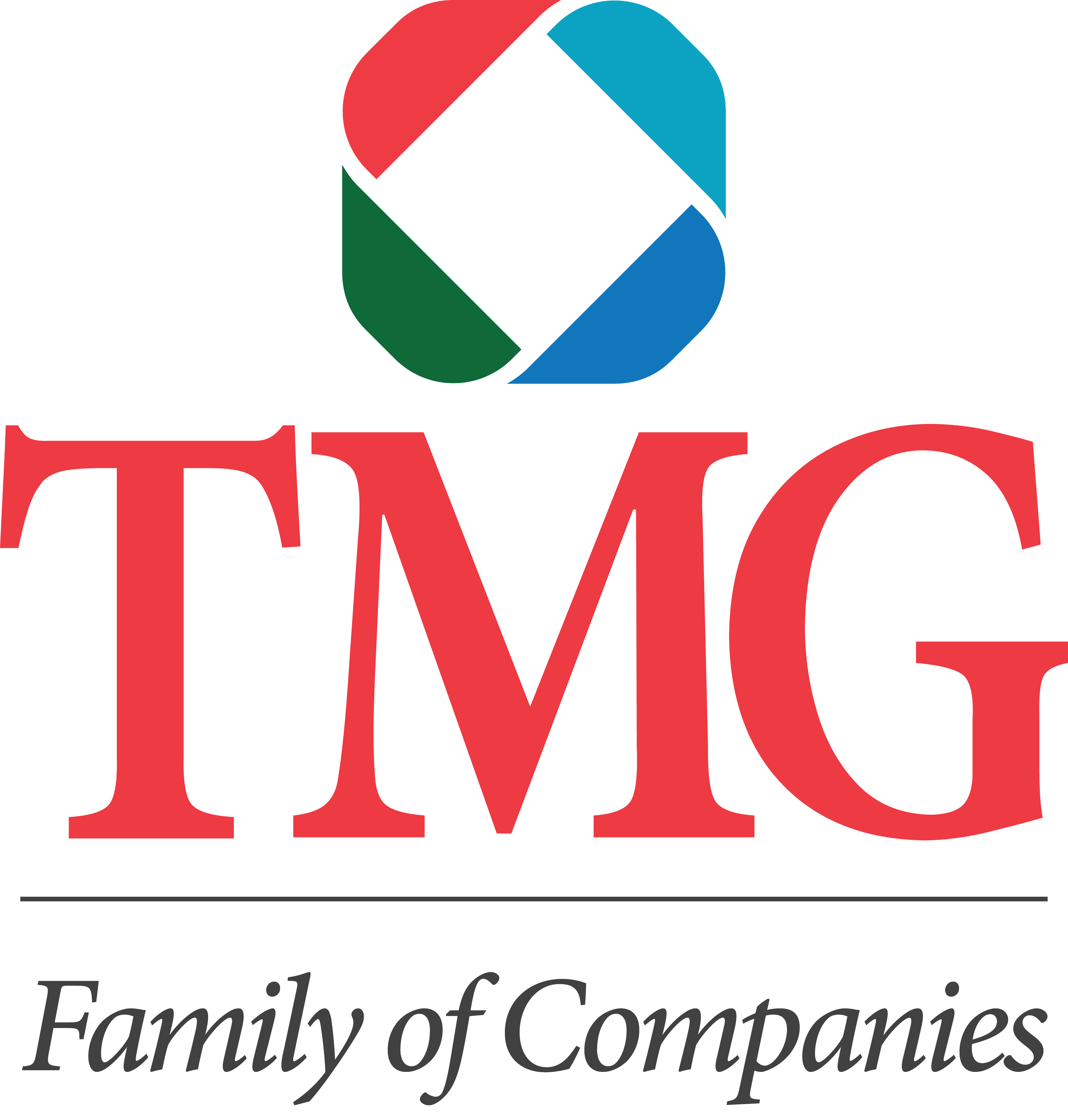 The Management Group, Inc. (TMG) Company Logo